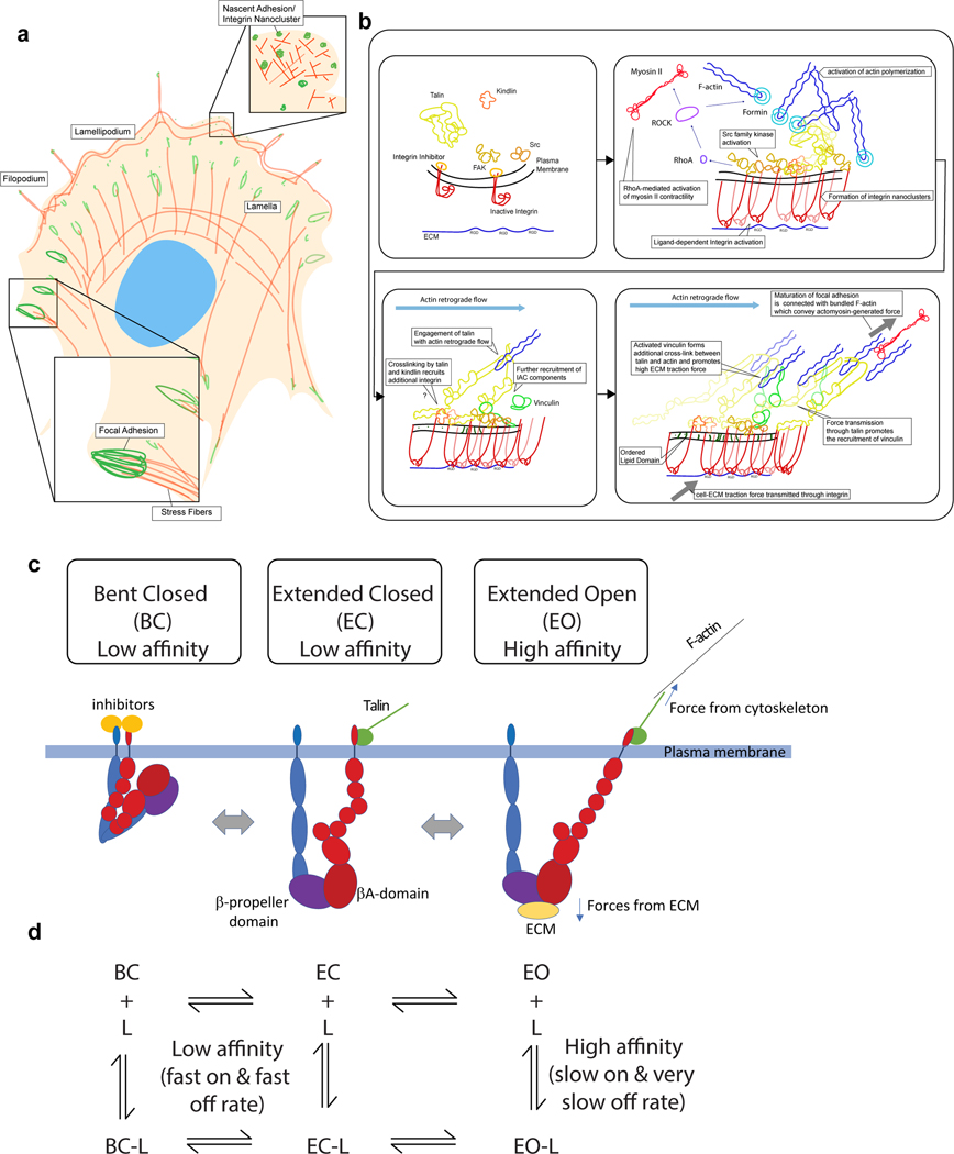 Figure 1 |