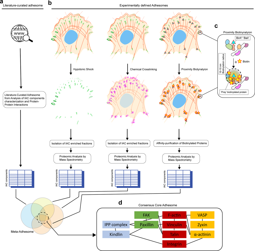 Figure 2 |