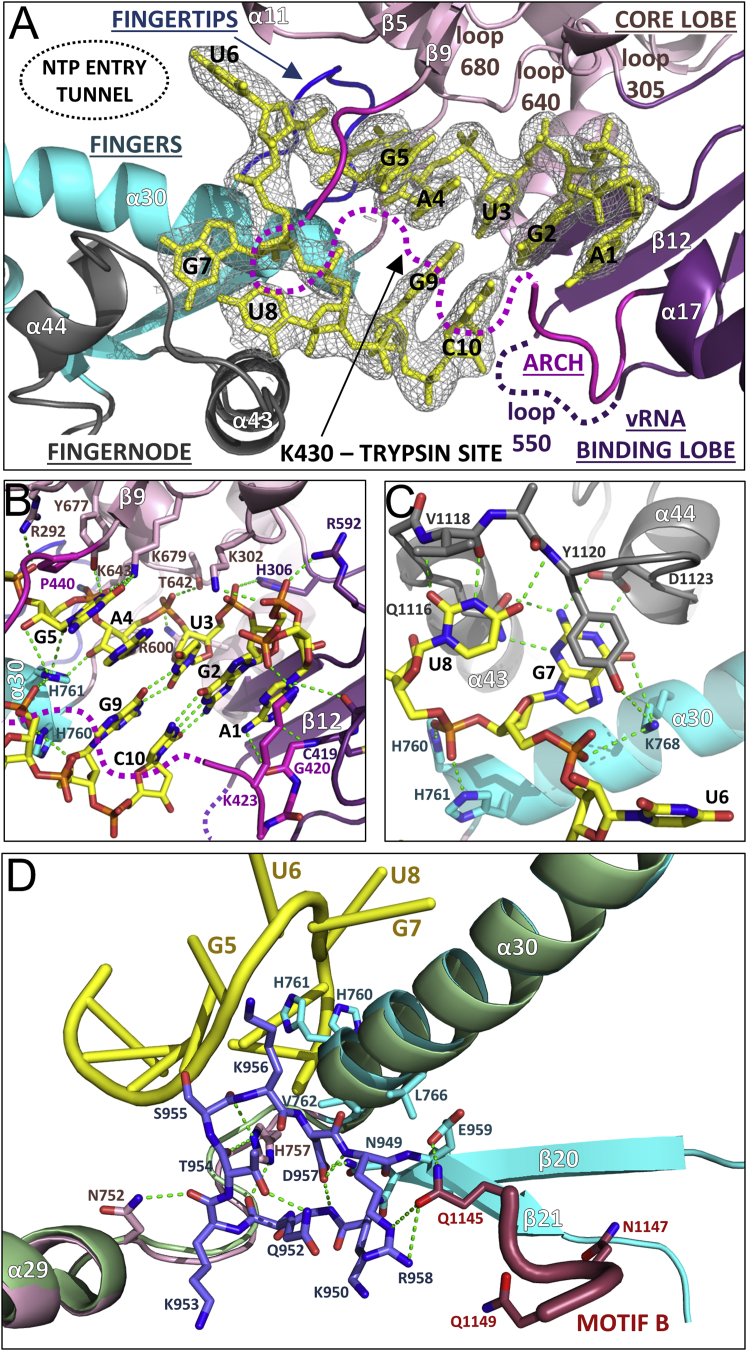 Figure 4