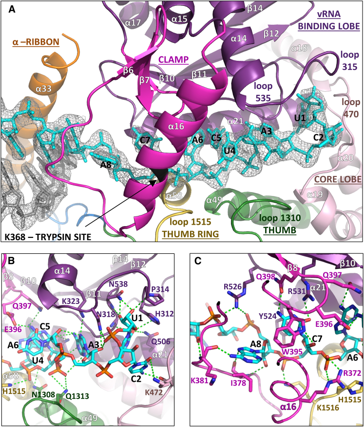 Figure 3