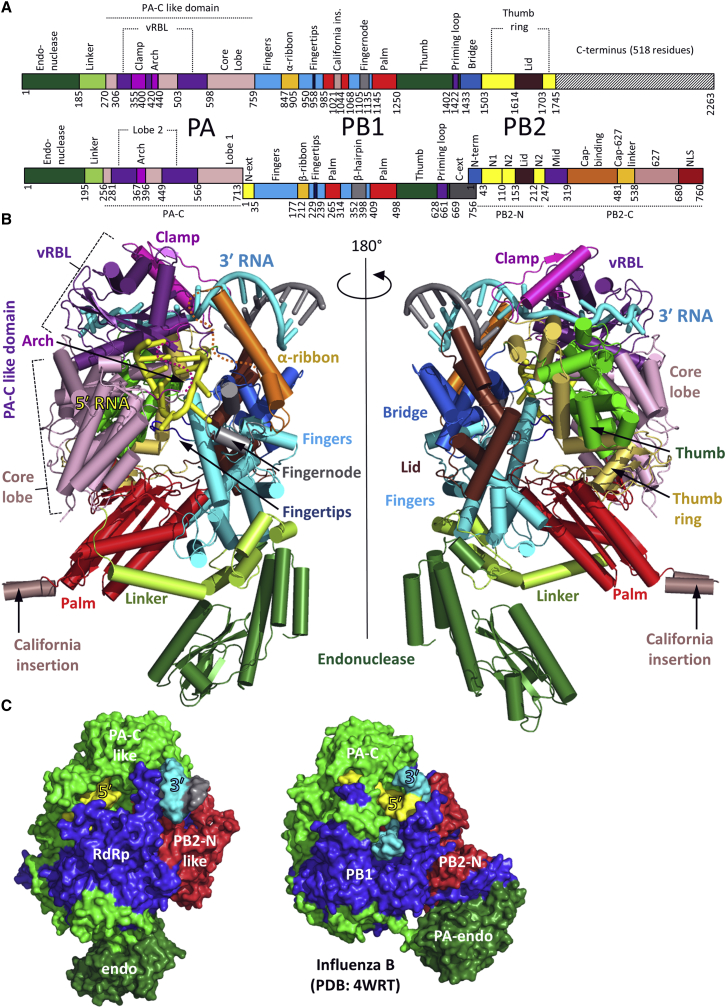 Figure 1