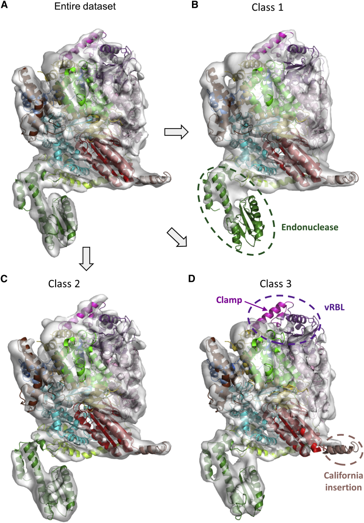 Figure 2