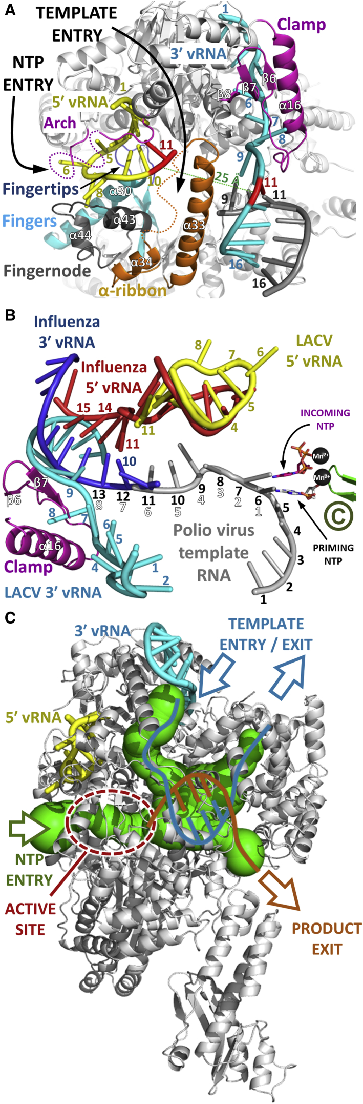 Figure 6