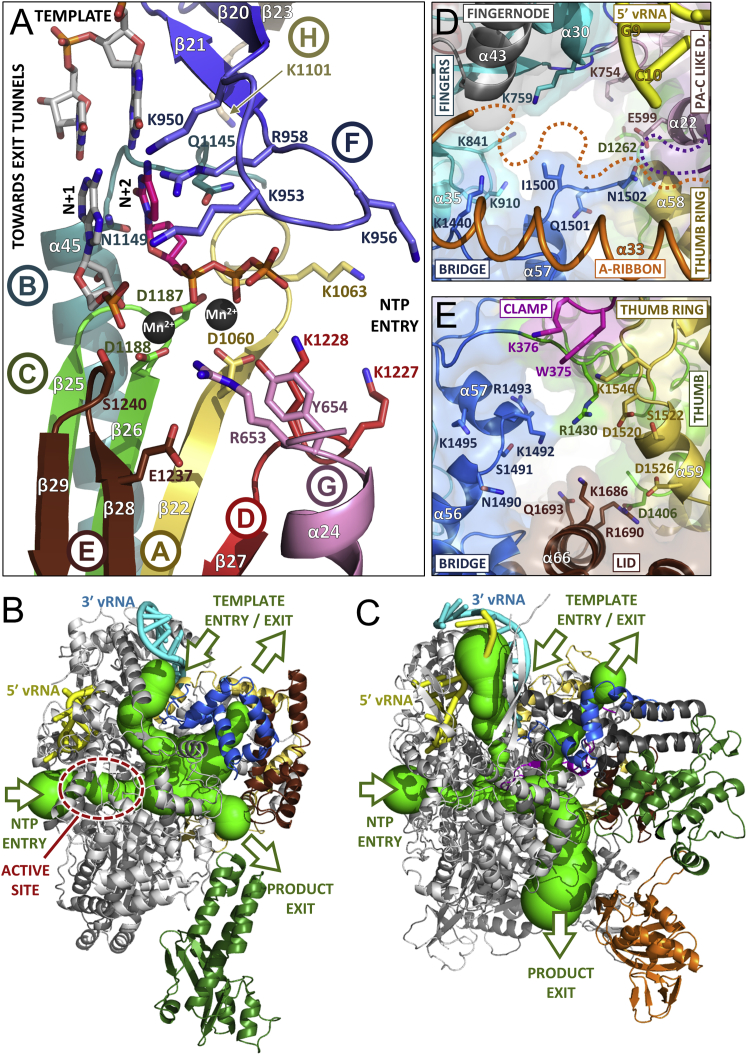 Figure 5