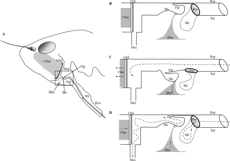 Fig 3