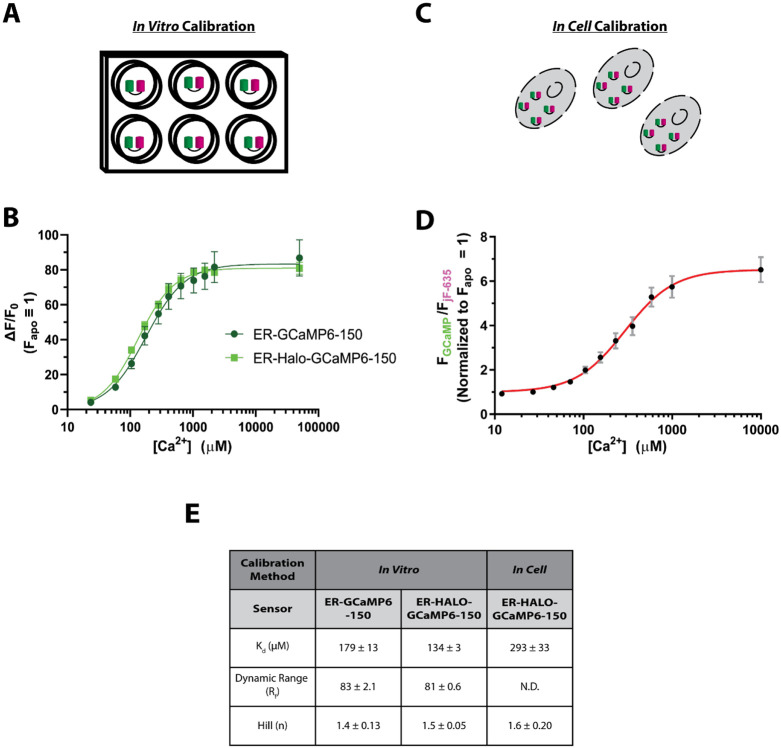 Figure 2 –