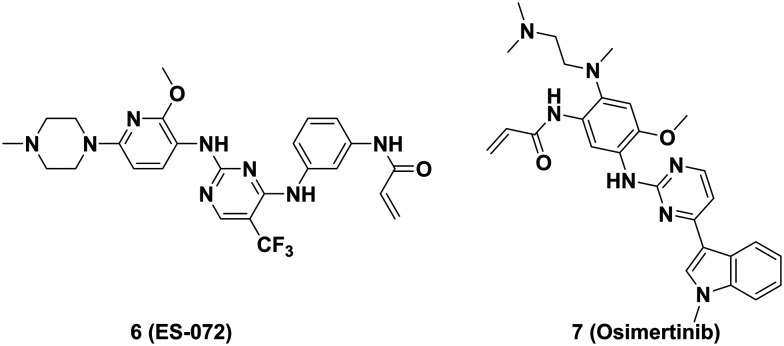 Fig. 9