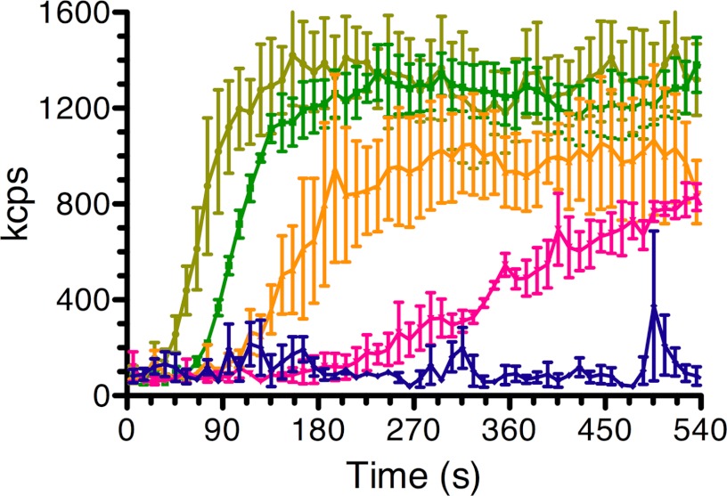 FIGURE 4.