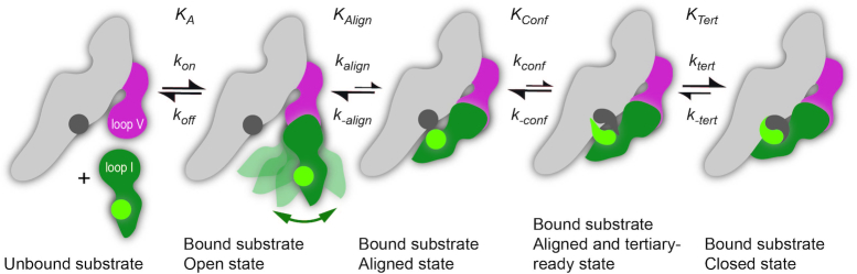 Figure 8.