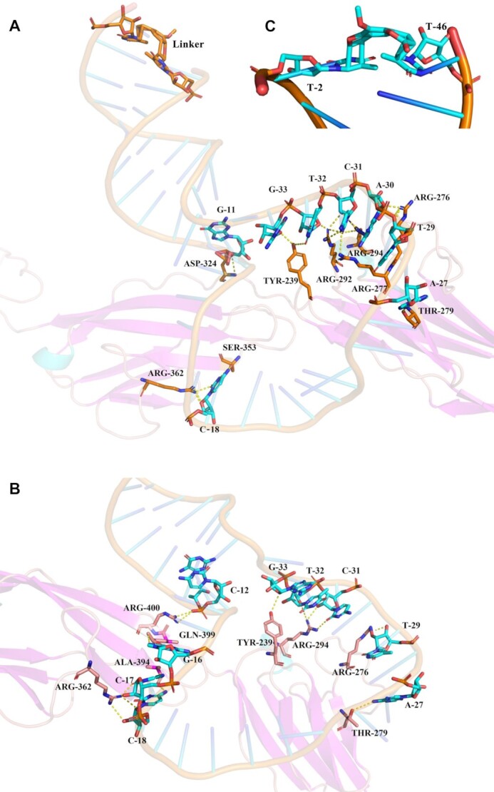 Figure 3.