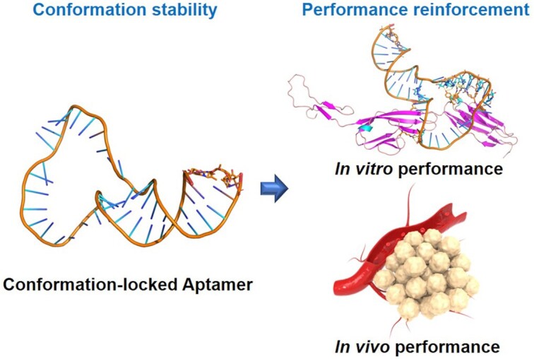 Graphical Abstract