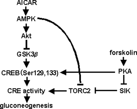 FIGURE 9.