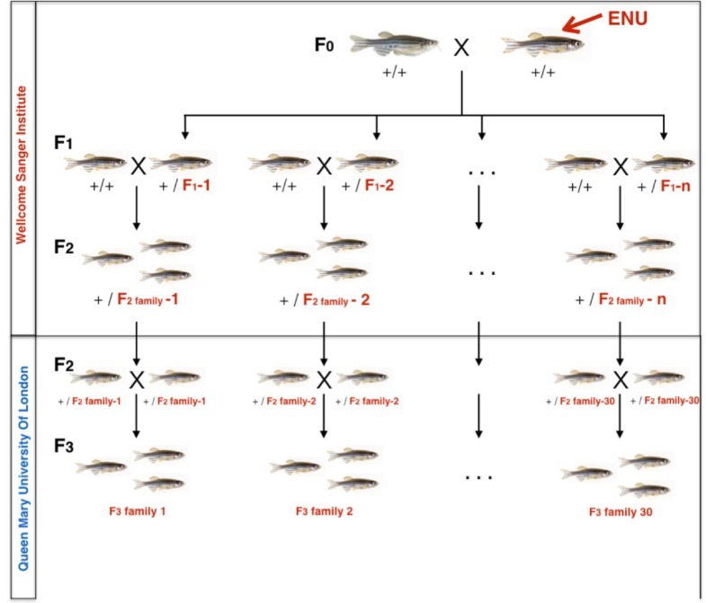 Figure 10.