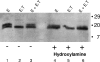 FIG. 5.