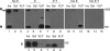 FIG. 8.