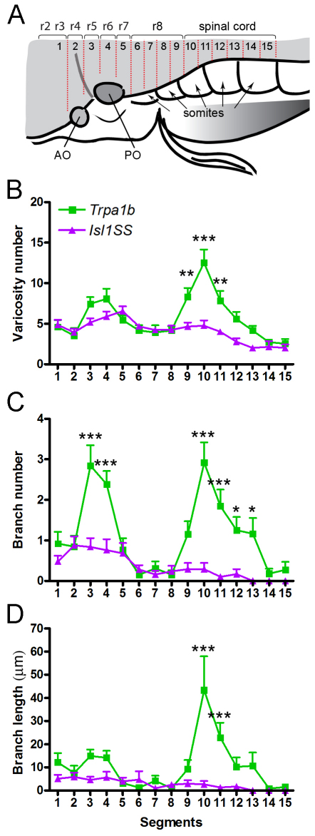 Fig. 4.