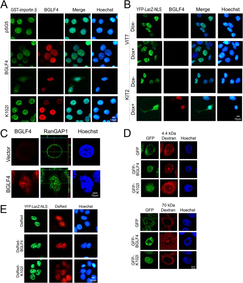 FIG 6