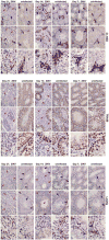 Extended Data Figure 2