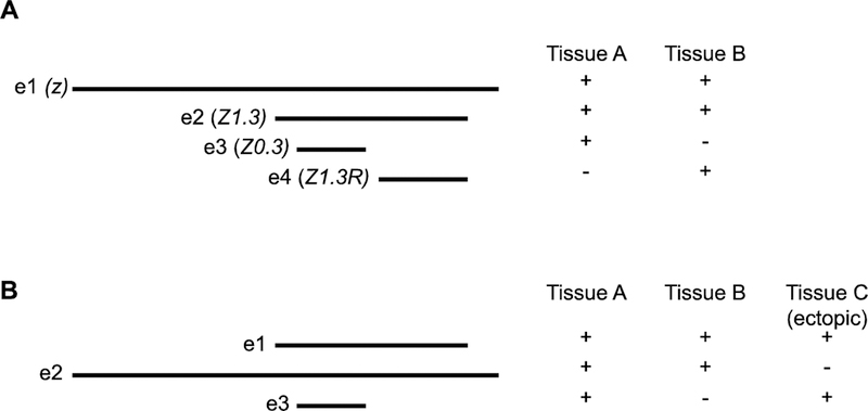 Figure 1: