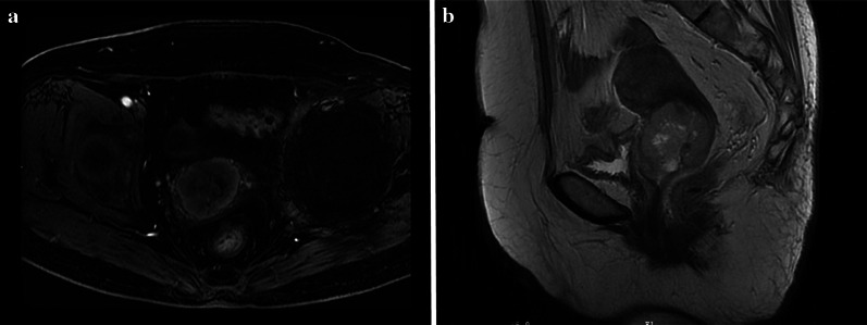 Fig. 5