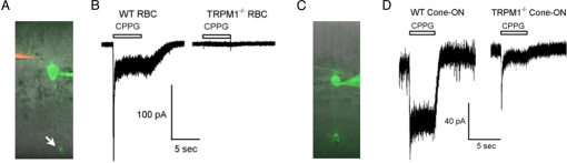 Fig. 4.