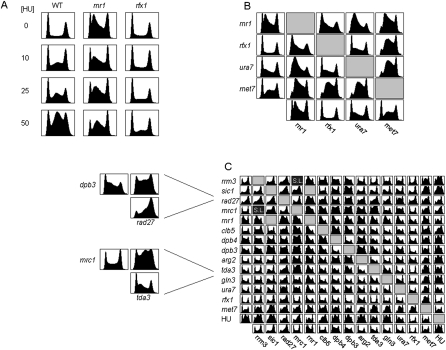 Figure 2.