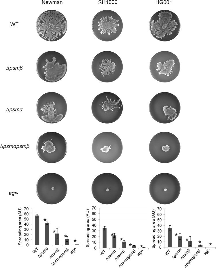 Fig 4