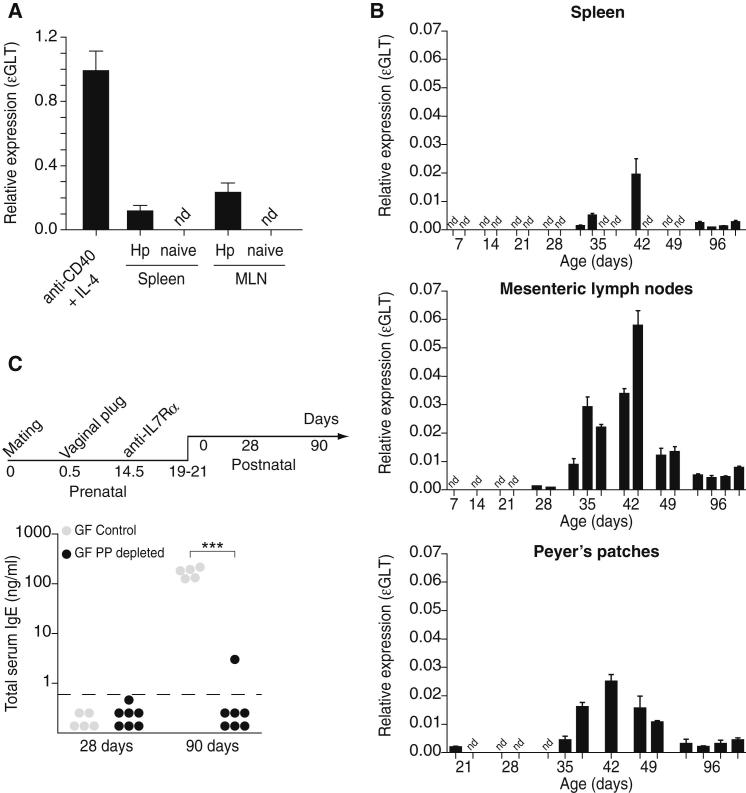 Figure 3