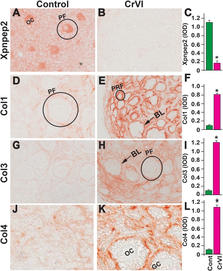 FIG. 9