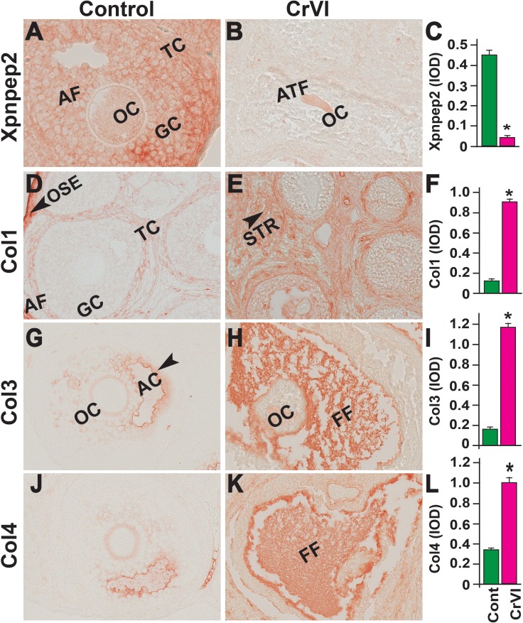 FIG. 10