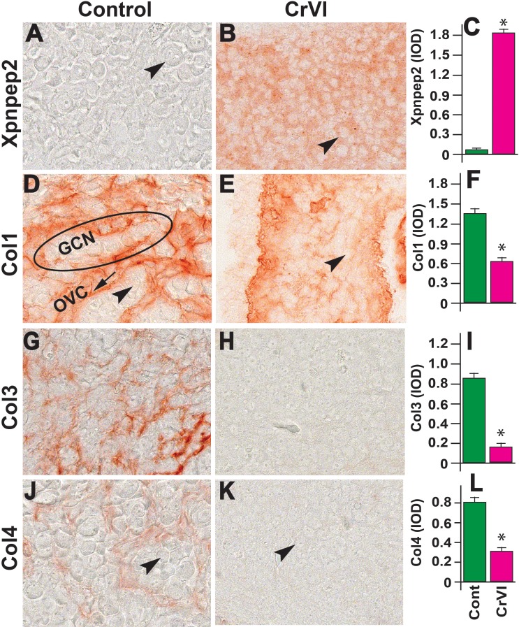 FIG. 6