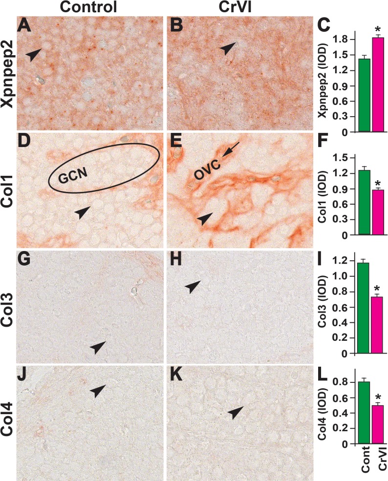 FIG. 7