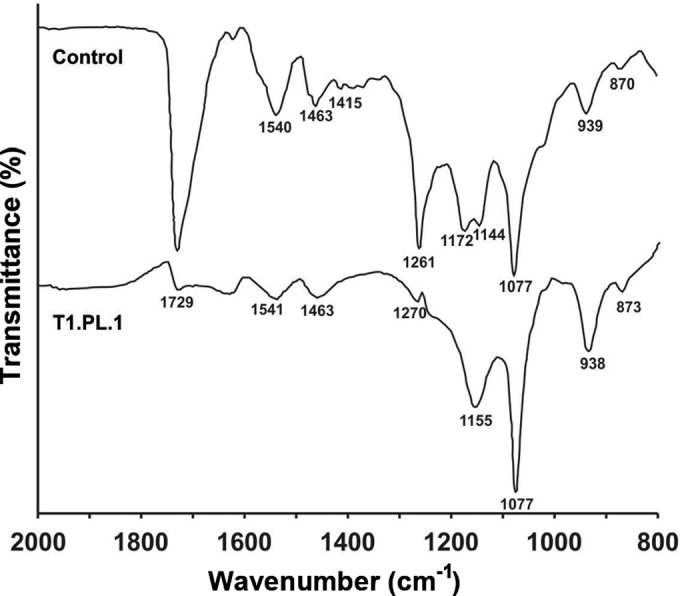 FIG 2