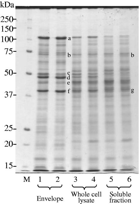 FIG. 7.