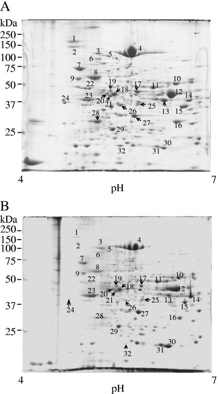 FIG. 6.