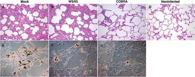 Figure 4.