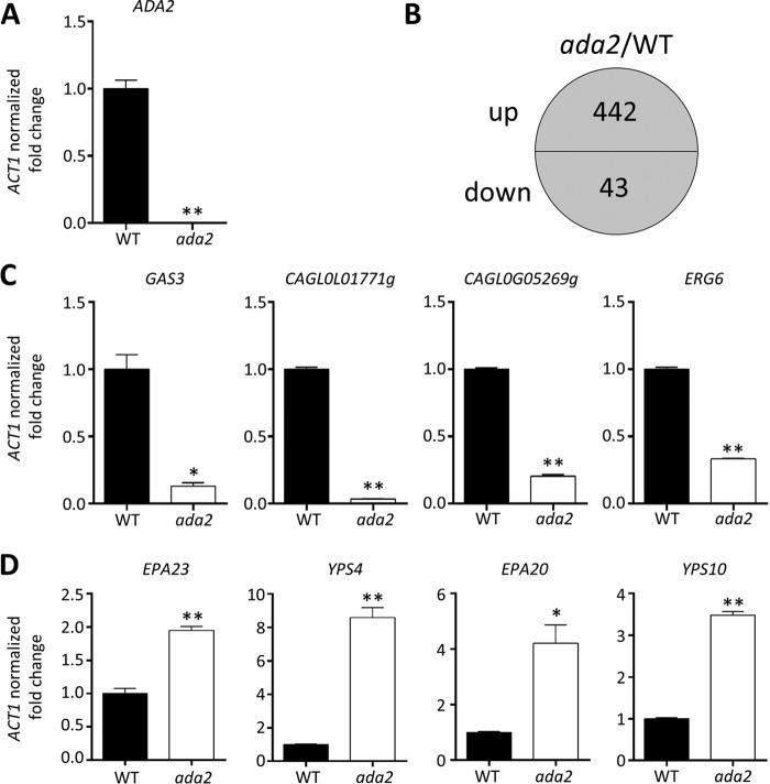 FIG 6