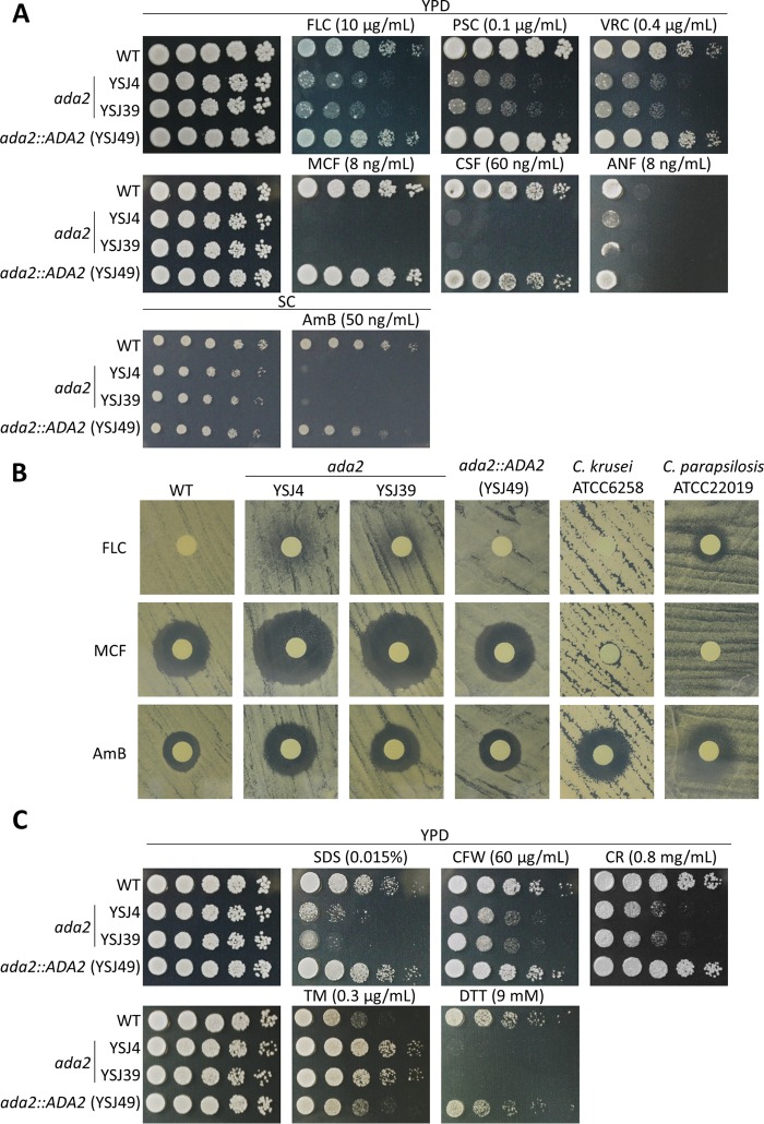 FIG 3