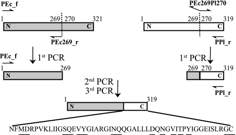 FIG. 3.