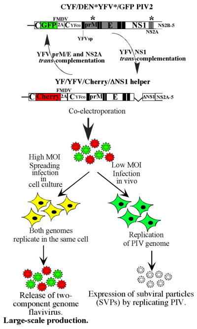 FIG. 7