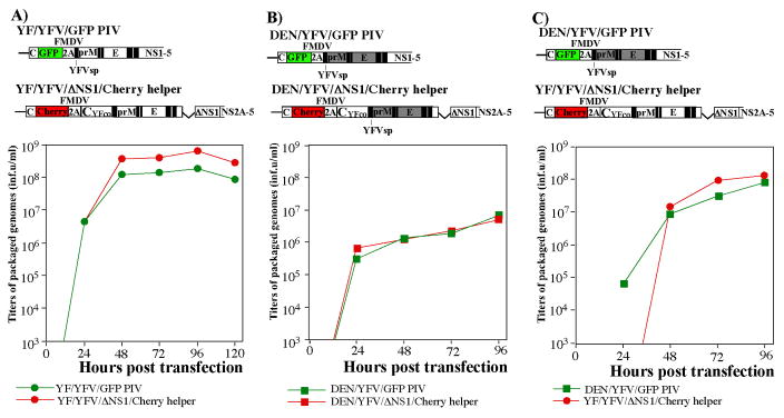 FIG. 3