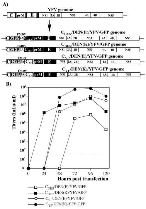 FIG. 1