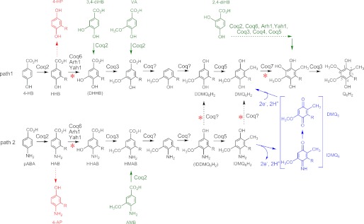 FIGURE 1.