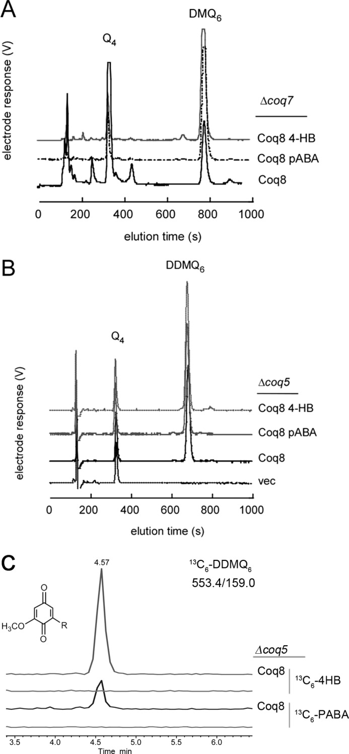 FIGURE 5.