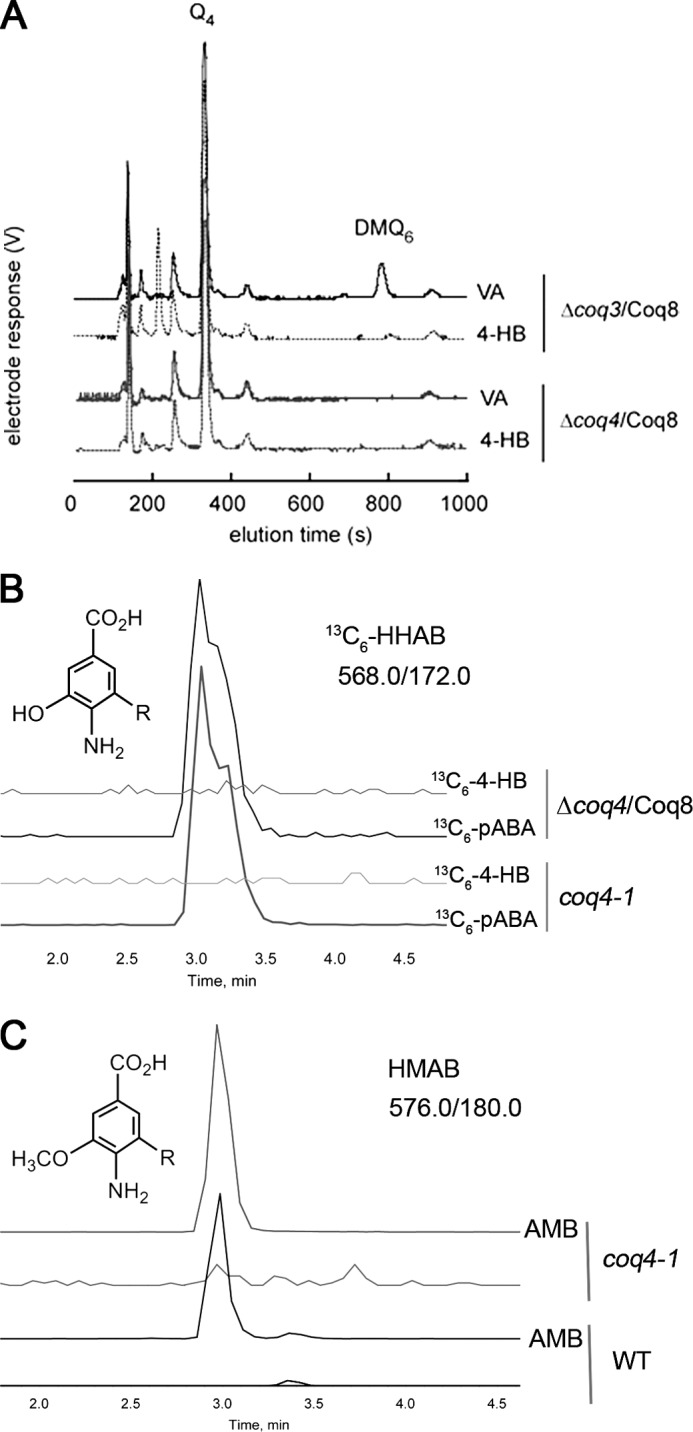 FIGURE 7.