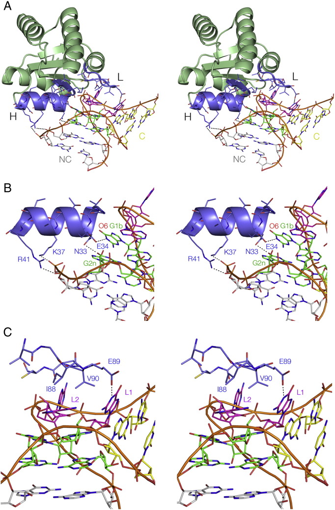 Fig. 9