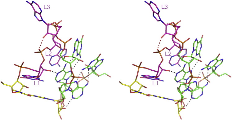 Fig. 6