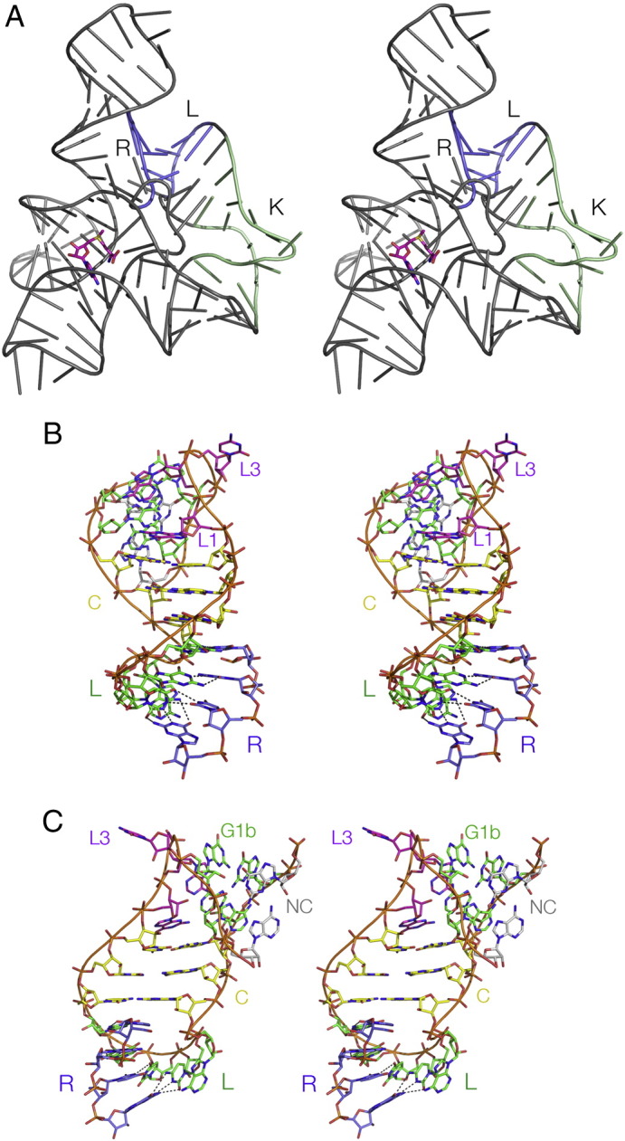 Fig. 8