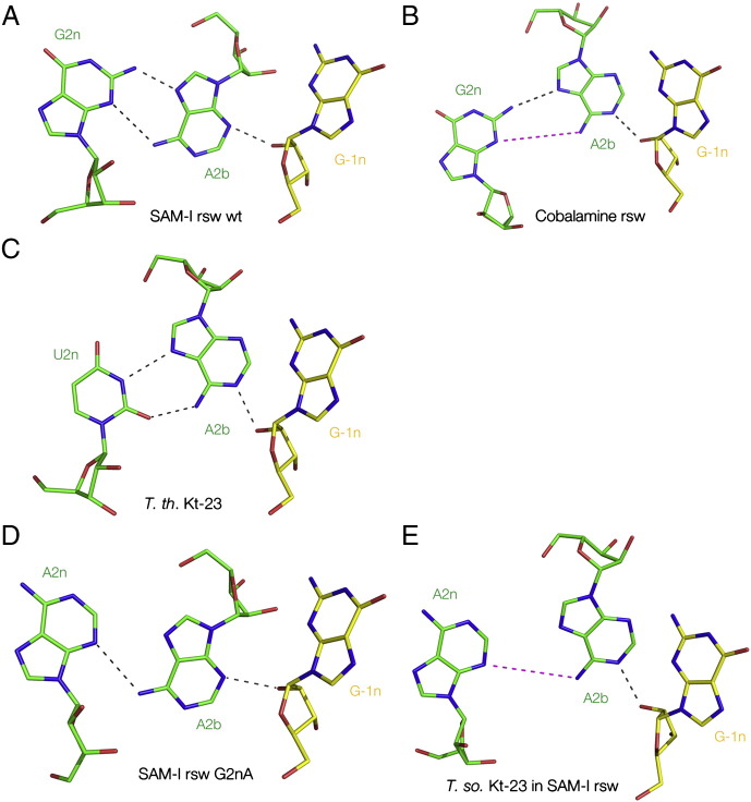 Fig. 7