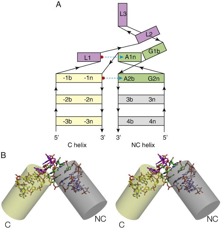 Fig. 2